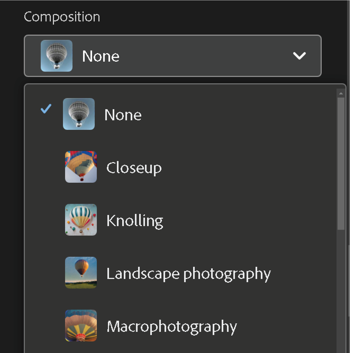 composition options in adobe firefly