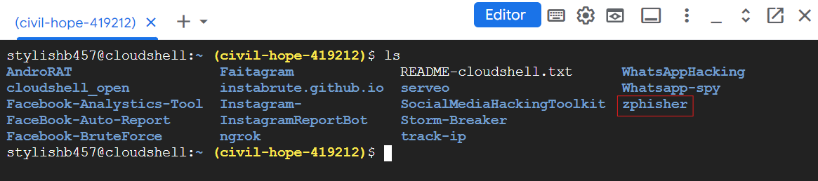 using google cloud terminal to hack instagram through phishing attac
