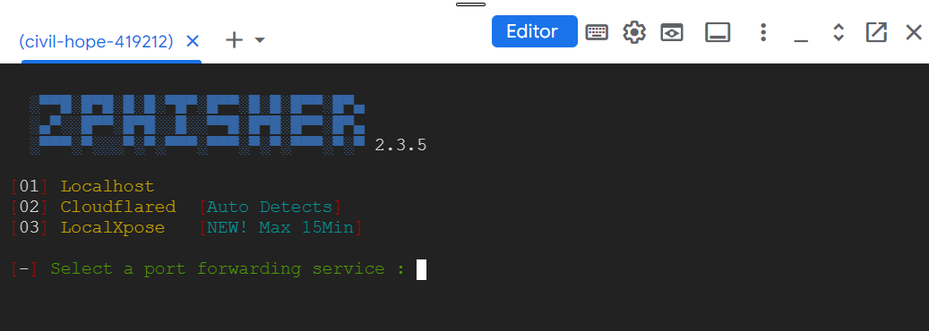 zphisher script running in google cloud terminal